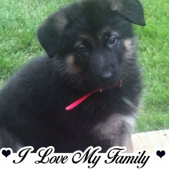 Meet your Posher, Nancy - Picture 1 of 1